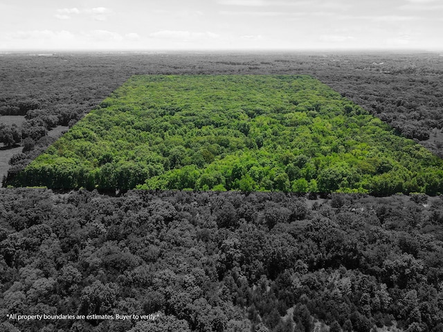 40ACRES N Phillipe Rd, Hallsville, MO 65255 - photo 1