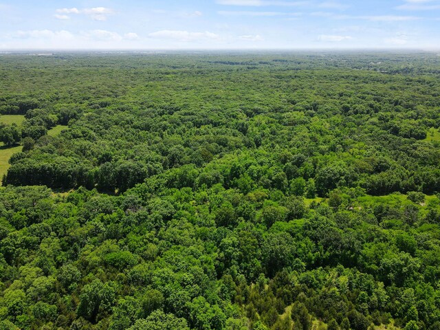 40ACRES N Phillipe Rd, Hallsville, MO 65255 - photo 5