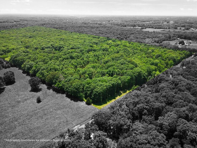 40ACRES N Phillipe Rd, Hallsville, MO 65255 - photo 6