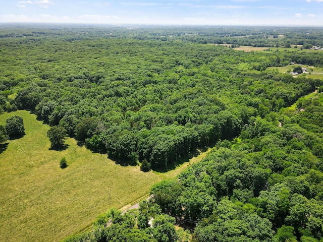 40ACRES N Phillipe Rd, Hallsville, MO 65255 - photo 7