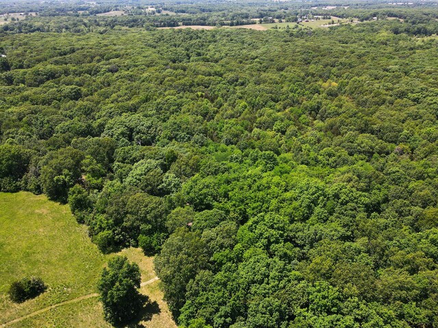 40ACRES N Phillipe Rd, Hallsville, MO 65255 - photo 8