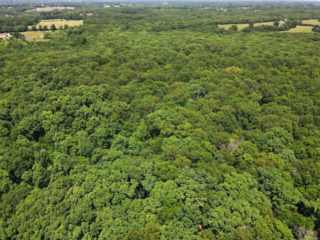 40ACRES N Phillipe Rd, Hallsville, MO 65255 - photo 9