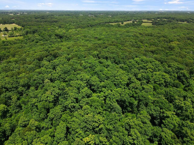 40ACRES N Phillipe Rd, Hallsville, MO 65255 - photo 10