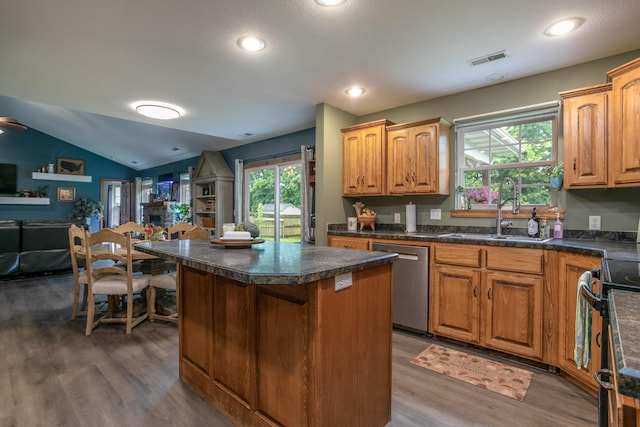 205 Jameson Dr, Ashland, MO 65010 - kitchen featuring appliances with stainless steel finishes, a sink, wood finished floors, healthy amount of natural light, and lofted ceiling