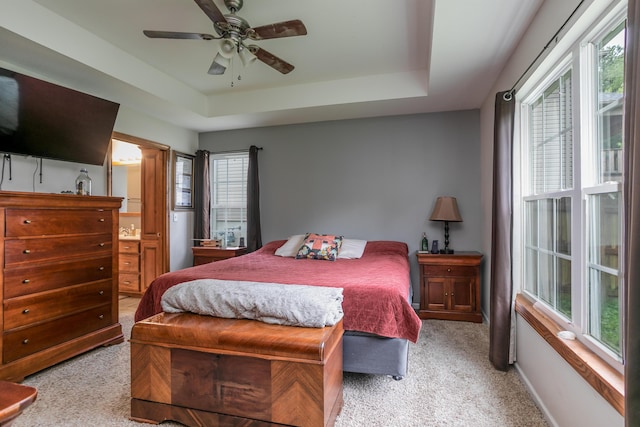 205 Jameson Dr, Ashland, MO 65010 - bedroom featuring light carpet, a tray ceiling, and multiple windows