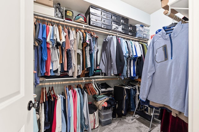 128 Cedar Falls Ct, Columbia, MO 65203 - spacious closet featuring carpet floors