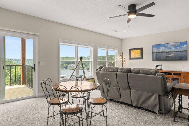 76 Barolo Ln Unit 21A, Camdenton, MO 65020 - photo 29