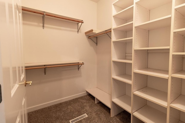 2409 Wild Oak Ct, Columbia, MO 65201 - spacious closet with dark carpet