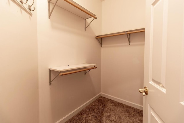 2409 Wild Oak Ct, Columbia, MO 65201 - walk in closet with carpet floors