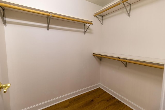 2409 Wild Oak Ct, Columbia, MO 65201 - walk in closet featuring dark wood-style flooring