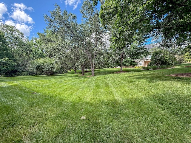 2409 Wild Oak Ct, Columbia, MO 65201 - view of green lawn