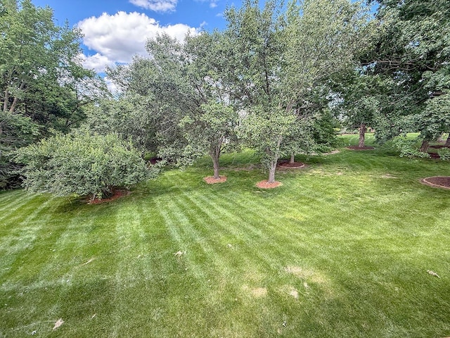 2409 Wild Oak Ct, Columbia, MO 65201 - view of grassy yard