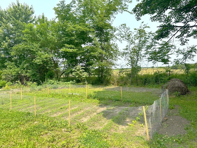 408 Vassar St, Bunceton, MO 65237 - view of yard with a view of rural / pastoral area