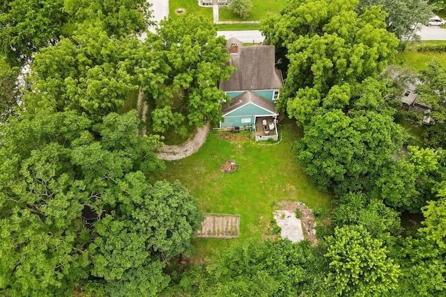 408 Vassar St, Bunceton, MO 65237 - aerial view of property and surrounding area