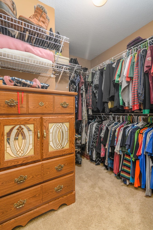 3111 E E W Snowy Hills Ln, Hartsburg, MO 65039 - spacious closet with carpet