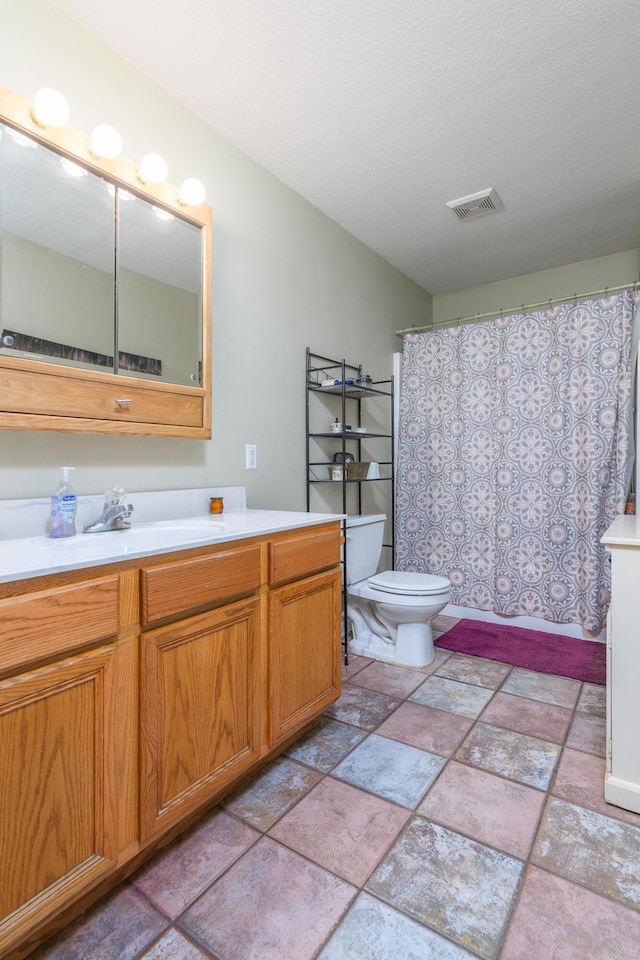 3111 E E W Snowy Hills Ln, Hartsburg, MO 65039 - bathroom with vanity, toilet, stone tile flooring, and curtained shower