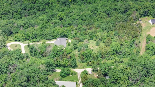 3111 E E W Snowy Hills Ln, Hartsburg, MO 65039 - view of property location featuring a heavily wooded area