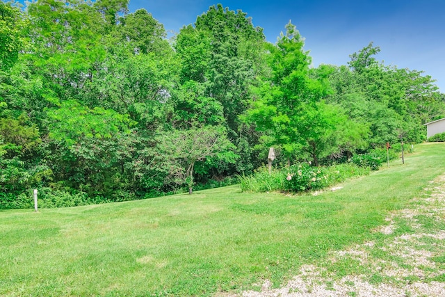 3111 E E W Snowy Hills Ln, Hartsburg, MO 65039 - view of grassy yard