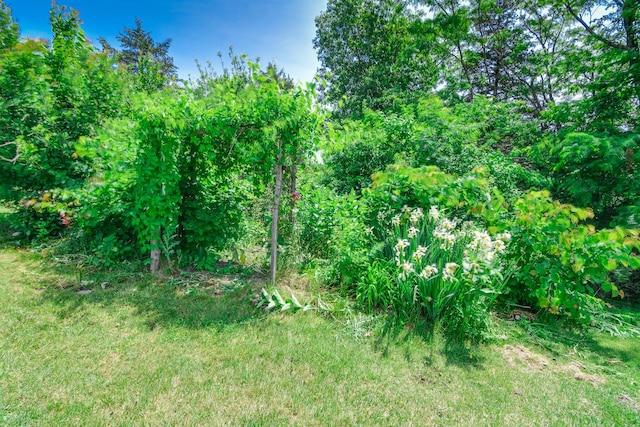 3111 E E W Snowy Hills Ln, Hartsburg, MO 65039 - view of local wilderness