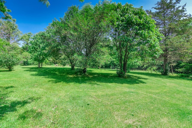 3111 E E W Snowy Hills Ln, Hartsburg, MO 65039 - view of grassy yard