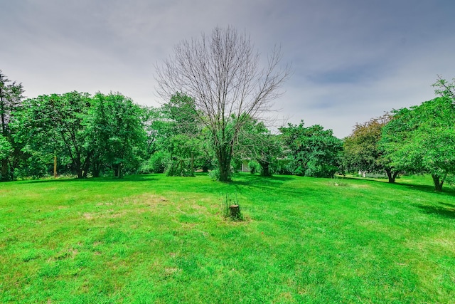 3111 E E W Snowy Hills Ln, Hartsburg, MO 65039 - view of green lawn