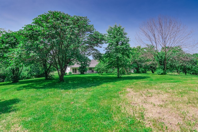 3111 E E W Snowy Hills Ln, Hartsburg, MO 65039 - view of grassy yard