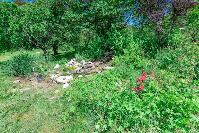 3111 E E W Snowy Hills Ln, Hartsburg, MO 65039 - view of local wilderness