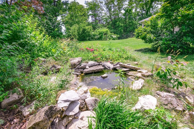 3111 E E W Snowy Hills Ln, Hartsburg, MO 65039 - view of grassy yard featuring a garden pond