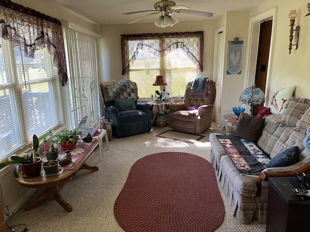11850 E Durk Rd, Centralia, MO 65240 - photo 16