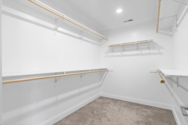 5990 W Tamarack Dr, Columbia, MO 65203 - walk in closet with carpet flooring