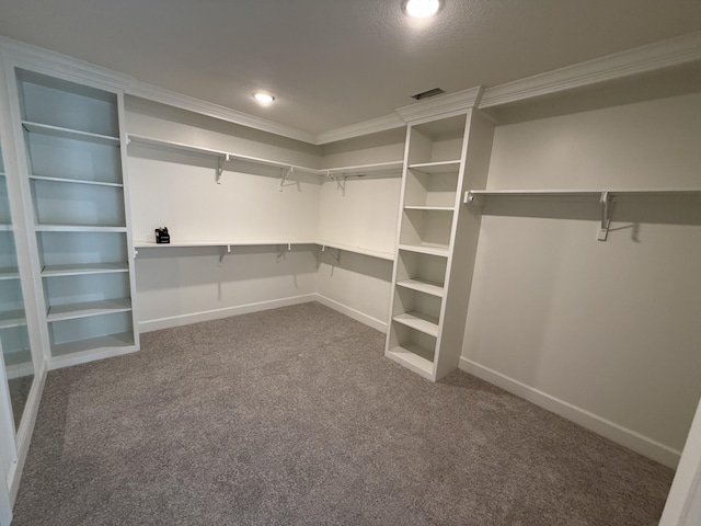 5915 Ivory Ln, Columbia, MO 65201 - spacious closet with carpet flooring