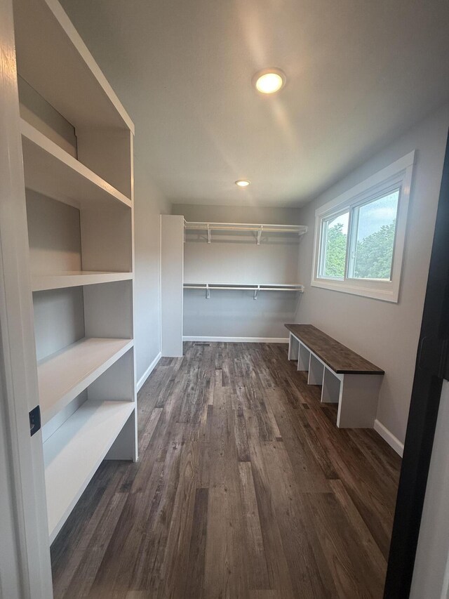 7475 E Lost Woods Ln, Centralia, MO 65240 - walk in closet with dark wood-type flooring