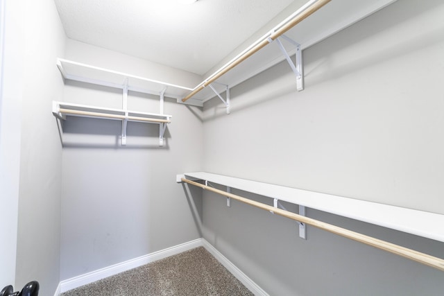 5506 Murfreesboro Dr, Columbia, MO 65201 - walk in closet featuring carpet floors