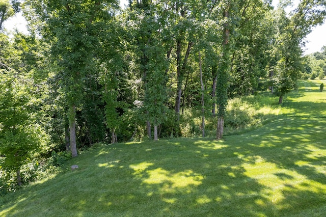 7501 Kirby Knowle Ct, Columbia, MO 65203 - view of grassy yard
