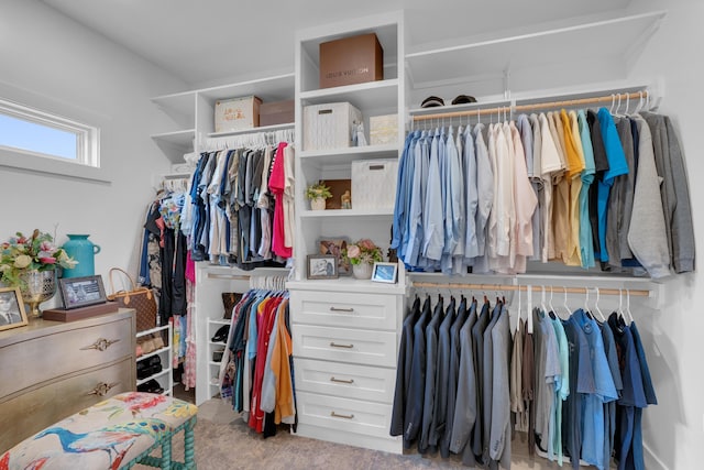7501 Kirby Knowle Ct, Columbia, MO 65203 - view of spacious closet