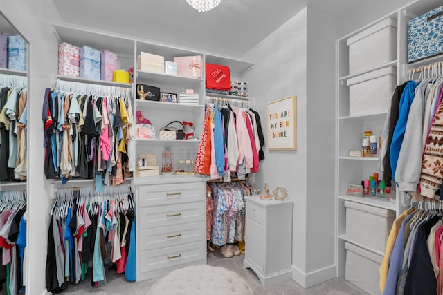 7501 Kirby Knowle Ct, Columbia, MO 65203 - spacious closet featuring light carpet