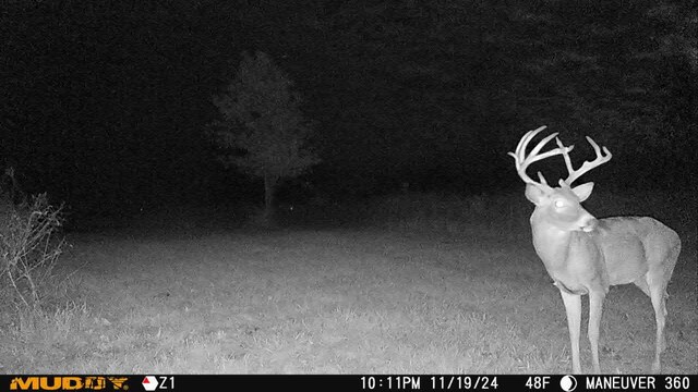 749 E Brown School Rd, Columbia, MO 65202 - photo 19