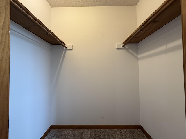 2009 N Waterfront Dr Unit G, Columbia, MO 65202 - walk in closet with carpet