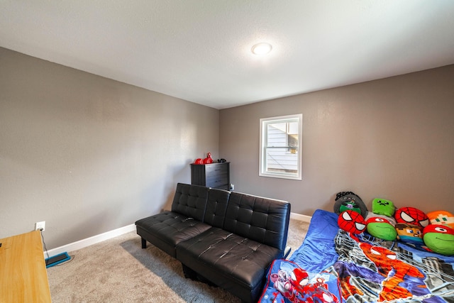 102 N Vine St, Fayette, MO 65248 - bedroom with carpet flooring and baseboards