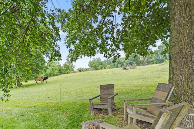 5700 Wilhite Rd, Columbia, MO 65202 - view of green lawn featuring a view of rural / pastoral area