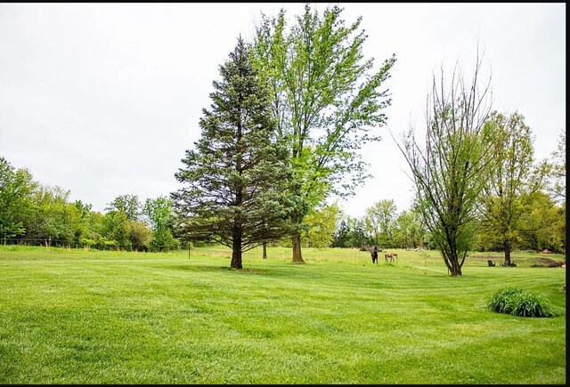 5700 Wilhite Rd, Columbia, MO 65202 - view of grassy yard