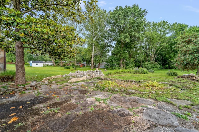 304 W Maple St, Auxvasse, MO 65231 - view of green lawn