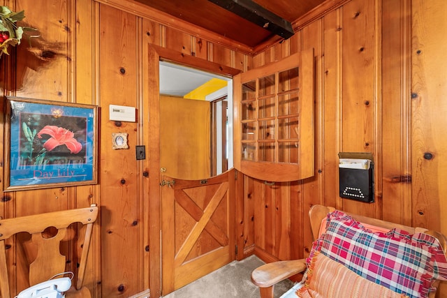 304 W Maple St, Auxvasse, MO 65231 - detailed view of carpet flooring and wooden walls