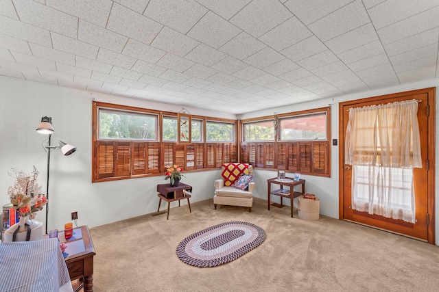 304 W Maple St, Auxvasse, MO 65231 - living area with carpet floors