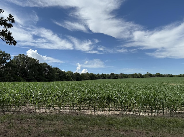 17.01ACRE E Sugar Grove Rd, Columbia, MO 65201 - photo 12