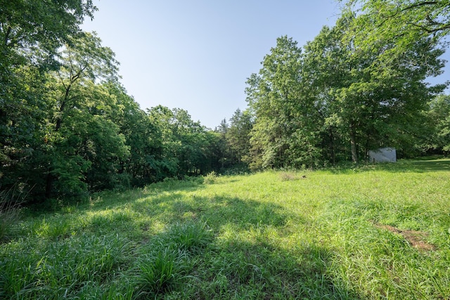 10060 E David Allen Rd, Columbia, MO 65201 - view of yard with a wooded view