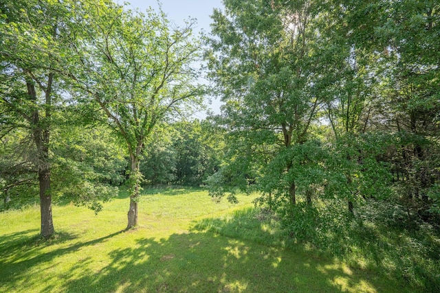 10060 E David Allen Rd, Columbia, MO 65201 - view of wooded area