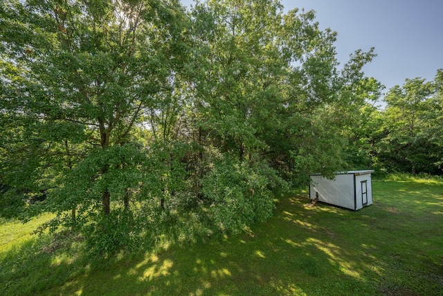 10060 E David Allen Rd, Columbia, MO 65201 - view of green lawn