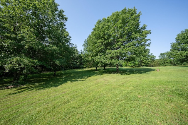 10060 E David Allen Rd, Columbia, MO 65201 - view of grassy yard