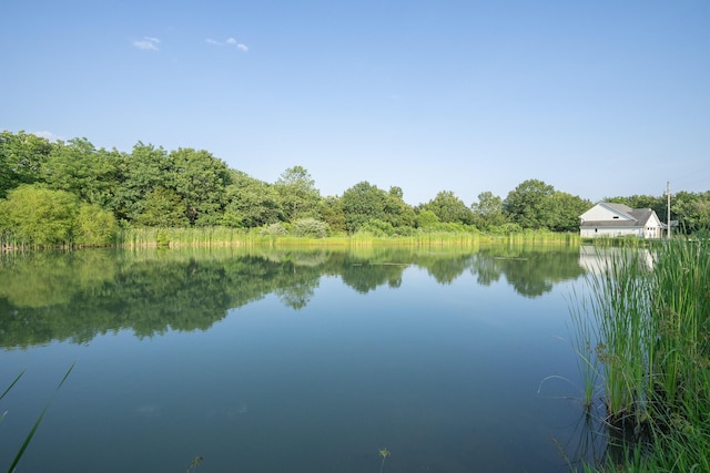 10060 E David Allen Rd, Columbia, MO 65201 - water view with a heavily wooded area